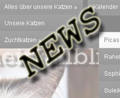 NEWS!!! 3 ’neue‘ Büsis