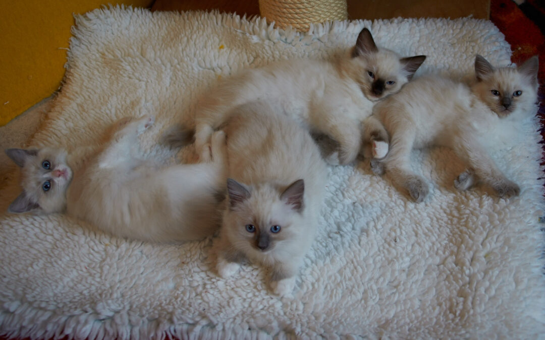 Wir sind alle vergeben!!!