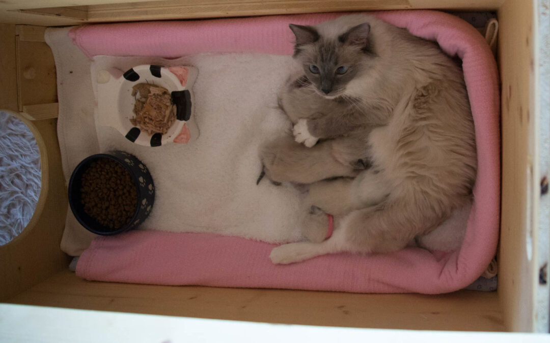 Die ersten Bilder…