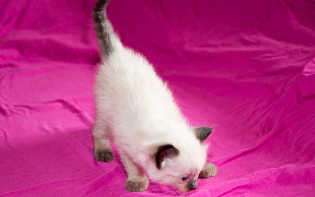 Die ersten Bilder…