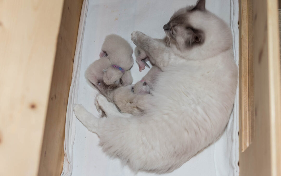 Erste Bilder der Kleinen