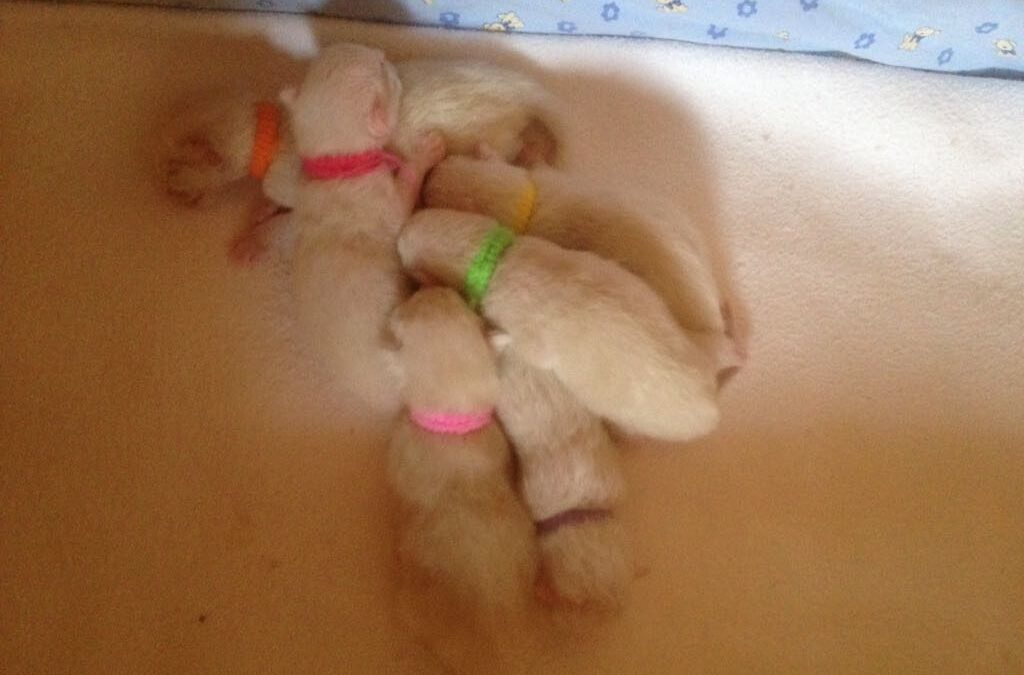 Azura und Miro sind Eltern geworden