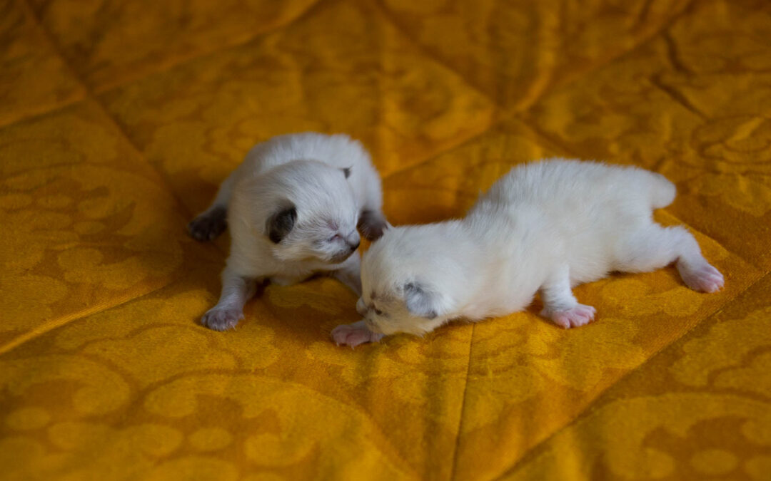 Fotos von Eva und Emil