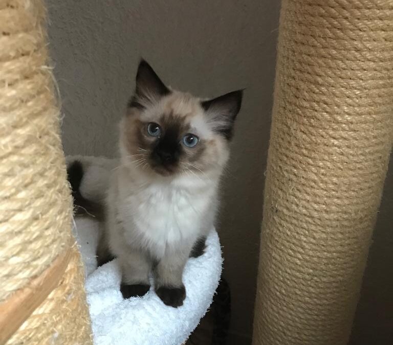 Ein paar haben wir noch….